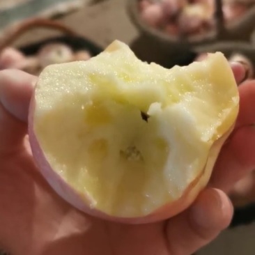 纸加膜红富士苹果
