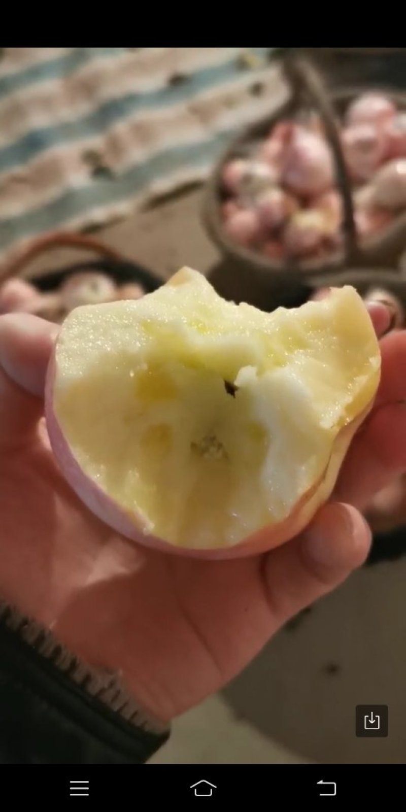 纸加膜红富士苹果