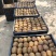 徐香猕猴桃80起步140/150坐庄出库货