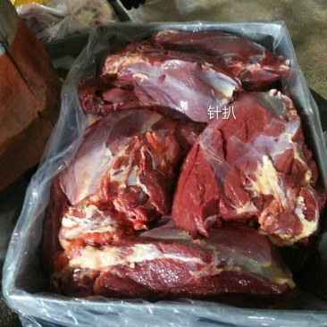 蒙古马肉马肉针扒
