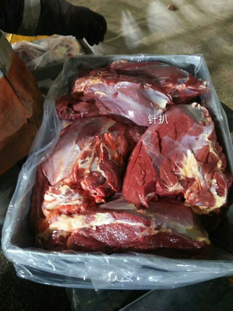 蒙古马肉马肉针扒