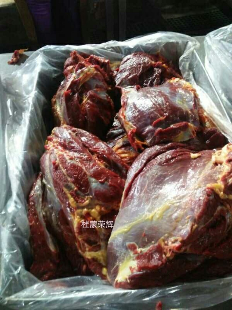 蒙古马肉马肉针扒