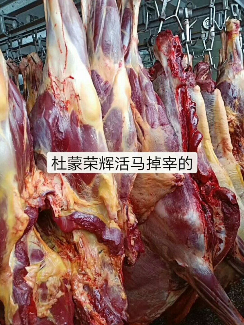 蒙古马肉马肉针扒