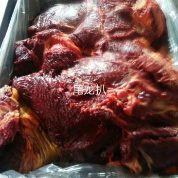 蒙古国马肉外蒙马肉马肉尾龙扒