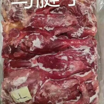 马腱子蒙古国马肉腱子肉
