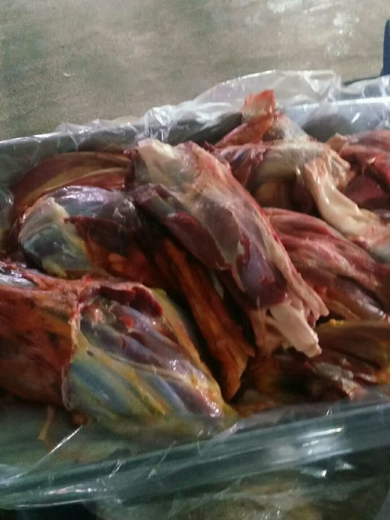 马腱子蒙古国马肉腱子肉