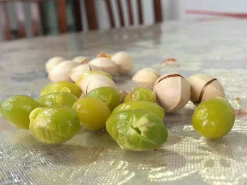 银杏白果