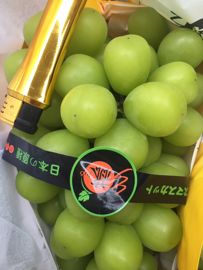 阳光玫瑰葡萄大量上市中单果8克以上口感香甜