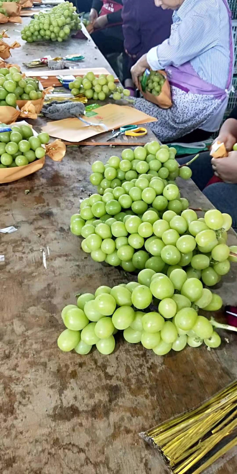 阳光玫瑰葡萄大量上市中单果8克以上口感香甜