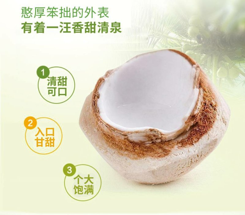 椰子