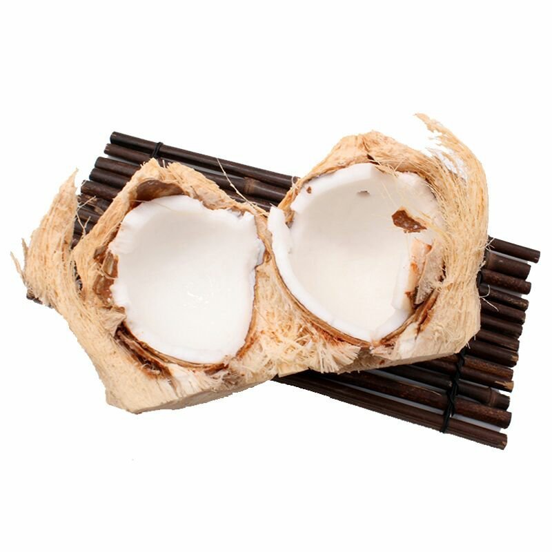 椰子