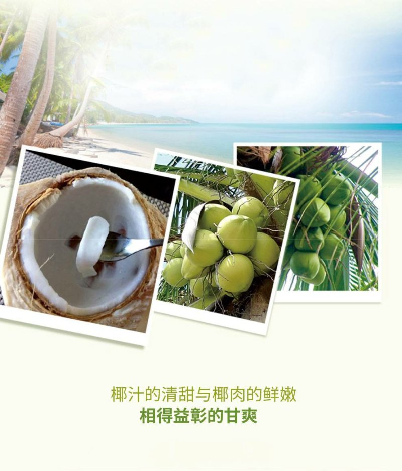 椰子