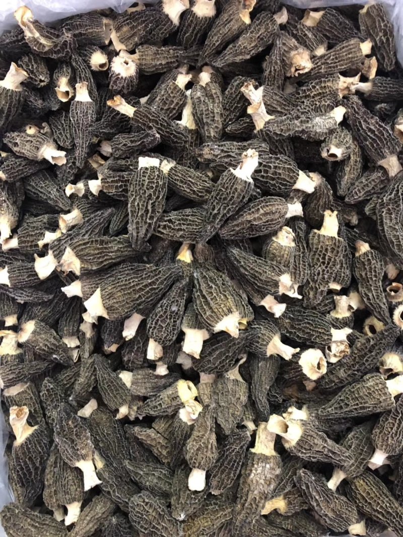 羊肚菌，羊肚菌干货，鲜货
