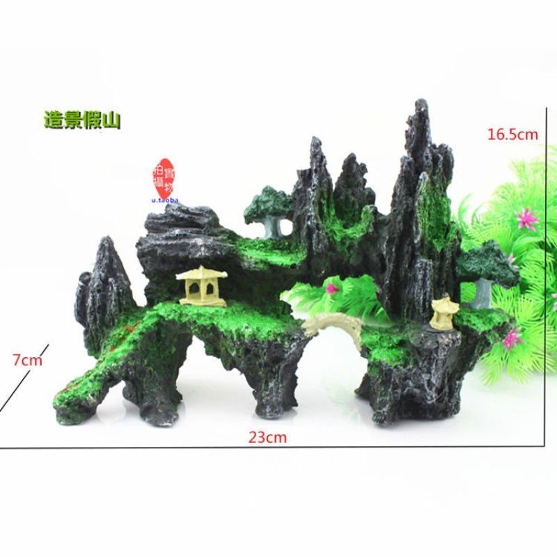 景观水族，直接可以下单包邮