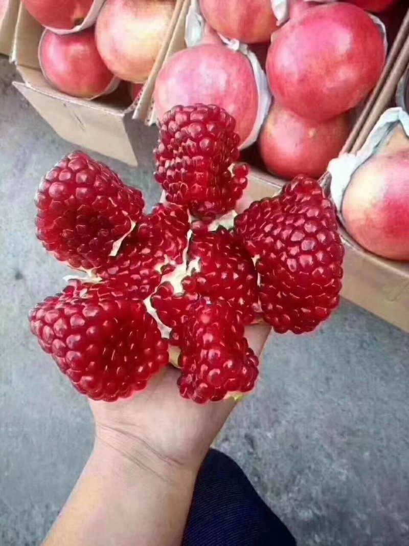 新疆皮亚曼石榴
