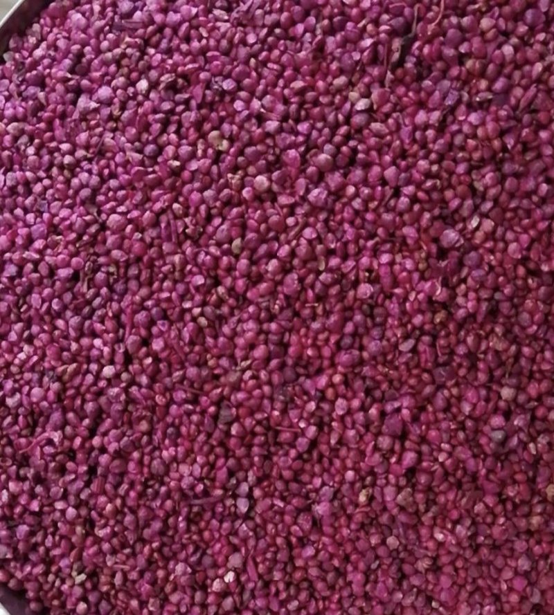 大叶菠菜种子小叶菠菜籽杂交菠菜种散装包邮