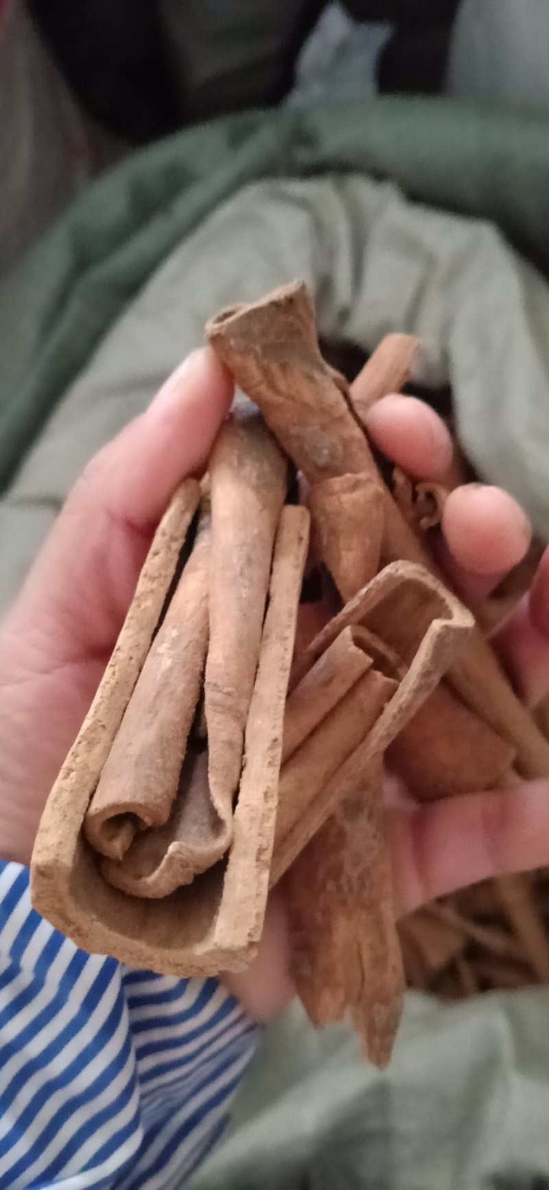 肉桂桂皮