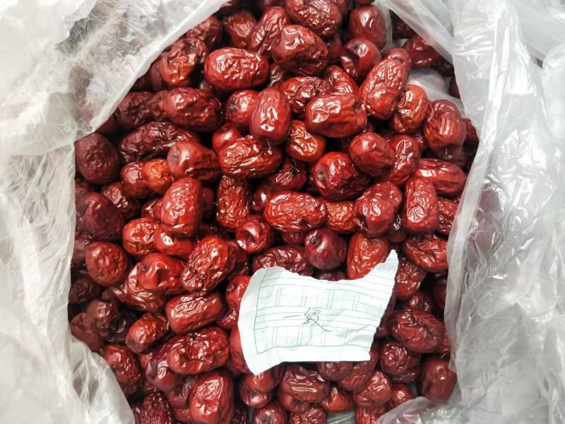 【精】灰枣皮枣大量现货批发，欢迎咨询