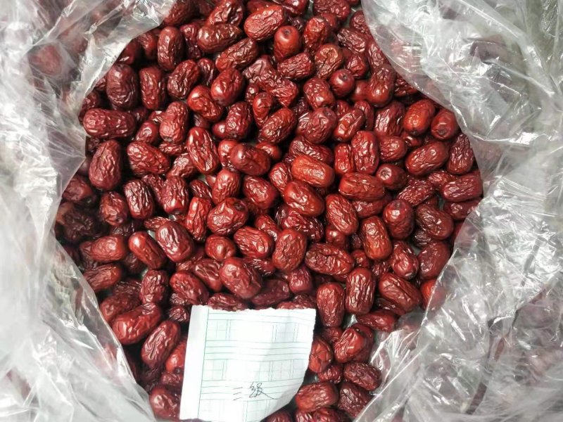 【精】灰枣皮枣大量现货批发，欢迎咨询