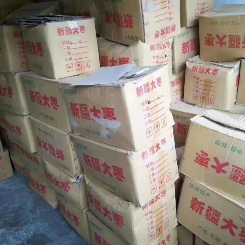 【精】灰枣皮枣大量现货批发，欢迎咨询