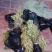 嫁接大五星枇杷苗，一年嫁接苗，泥浆保湿，薄膜包装！