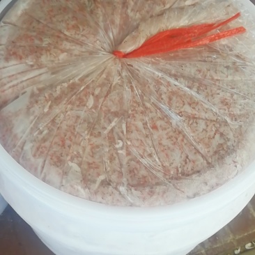 盐水虾
