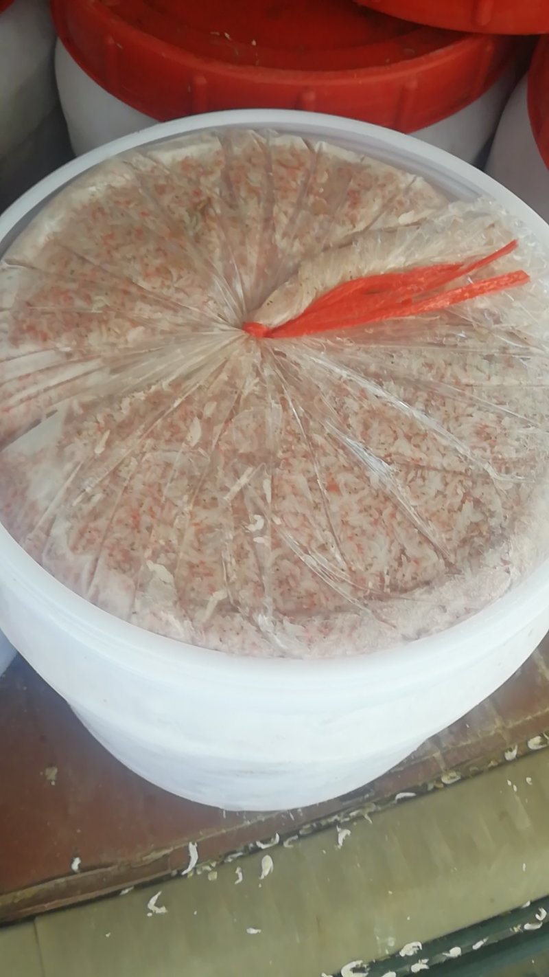 盐水虾