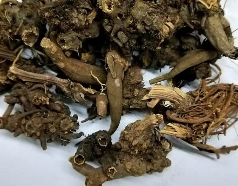 酸模根,产地直供，质优价实，品质保证，药典标准道地良药