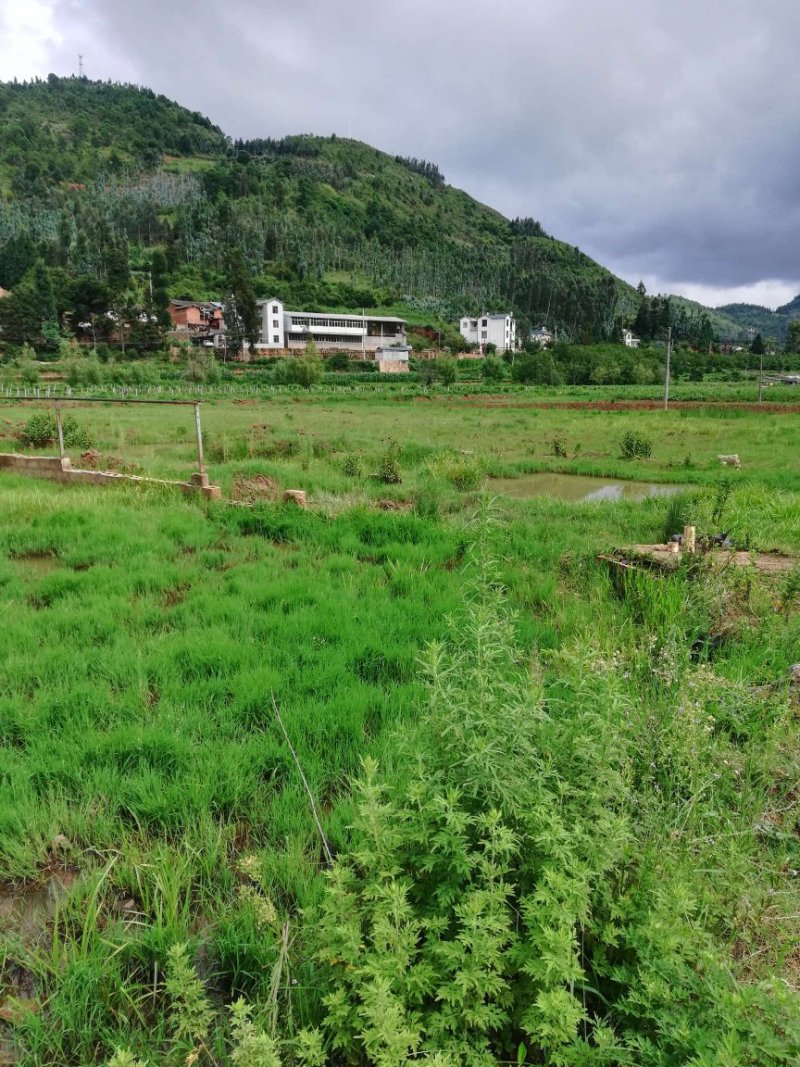 50亩土地出租