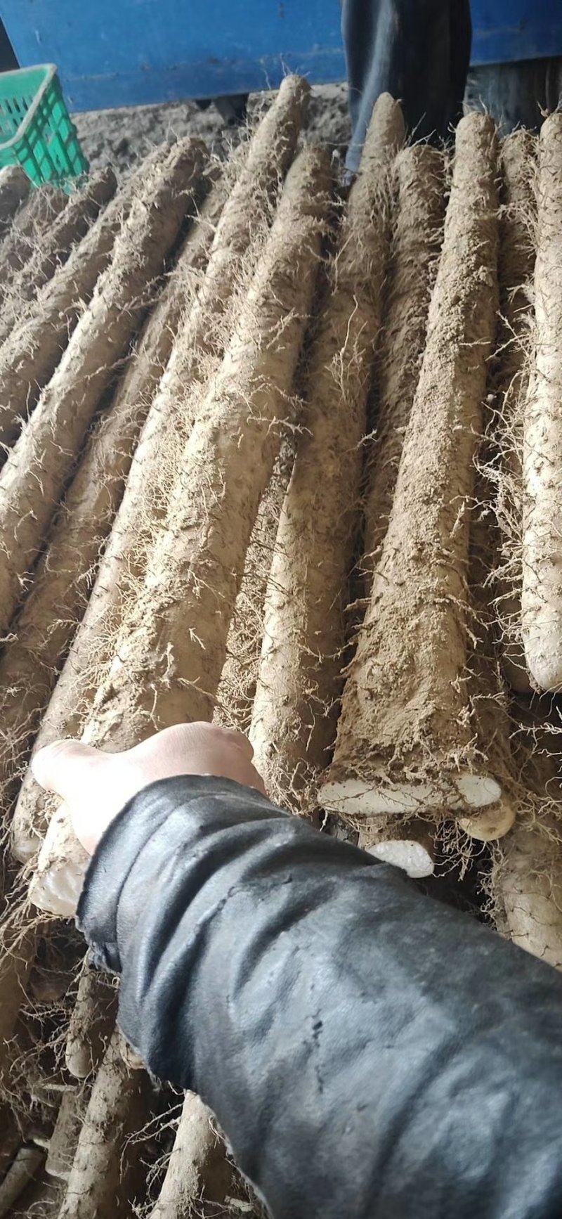 深加工，初加工山药各种蔬菜