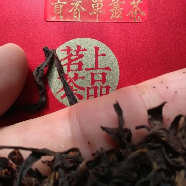 贡香单枞茶
