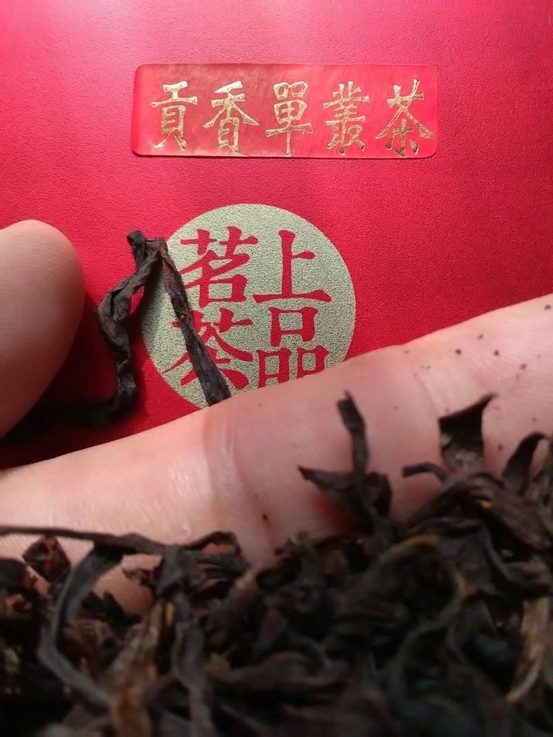 贡香单枞茶