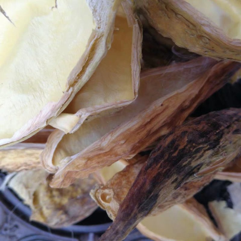 羊角拗,产地直供，质优价实，品质保证，药典标准道地良药