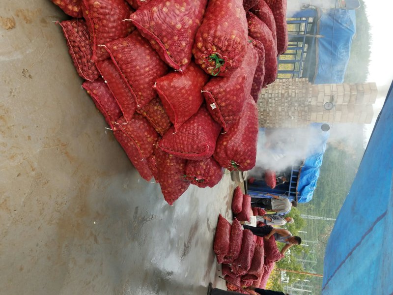 熏枣乌枣黑枣泡酒紫金枣(有烟熏味)南枣非红枣马牙枣