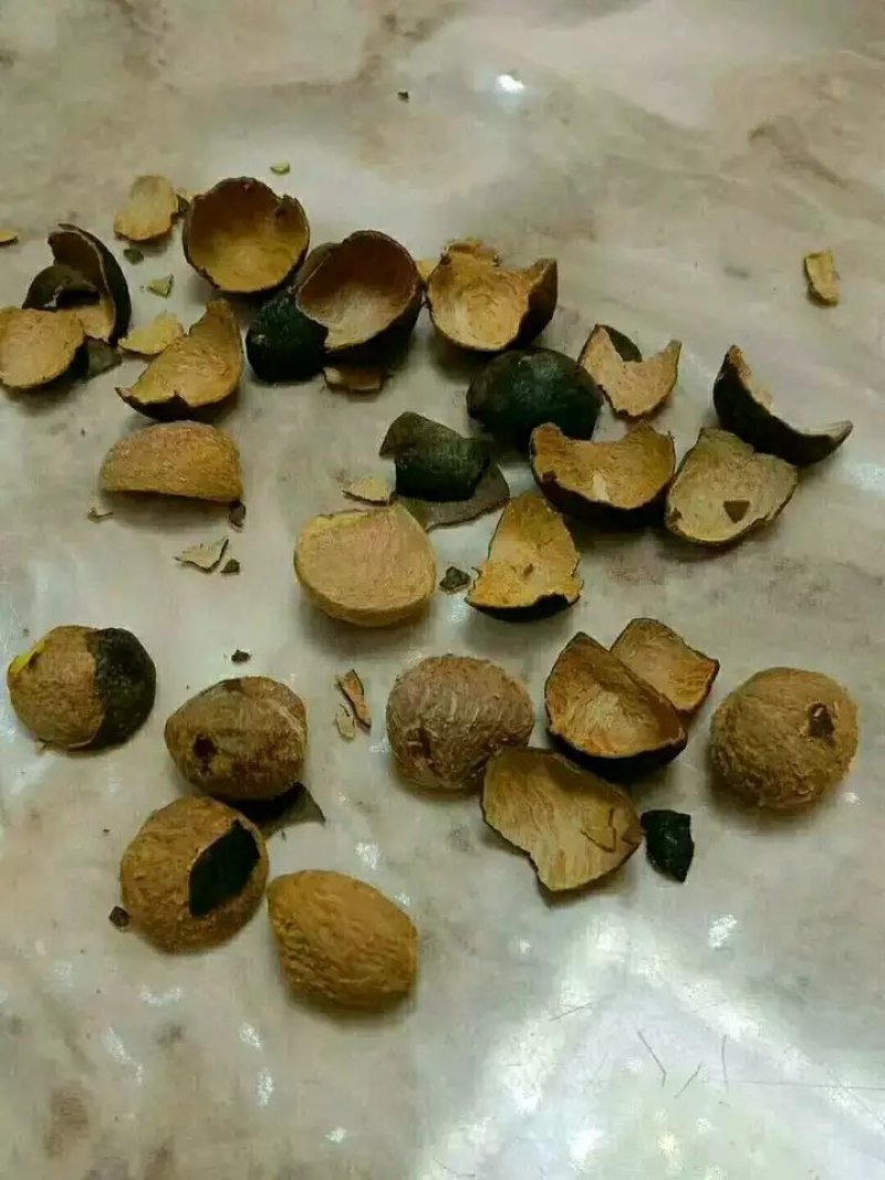 野生高山茶油