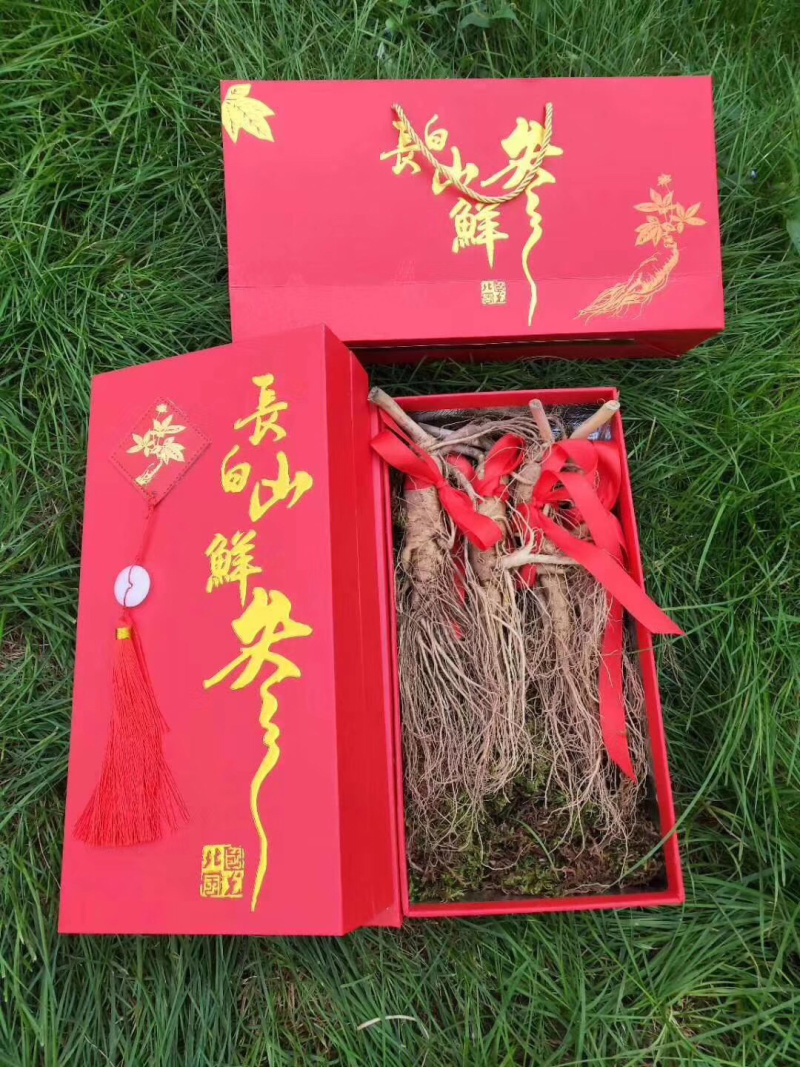 长白山带土鲜人参二两半～四两可配礼盒🎁