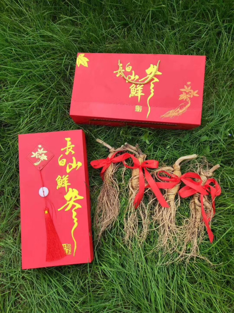 长白山带土鲜人参二两半～四两可配礼盒🎁