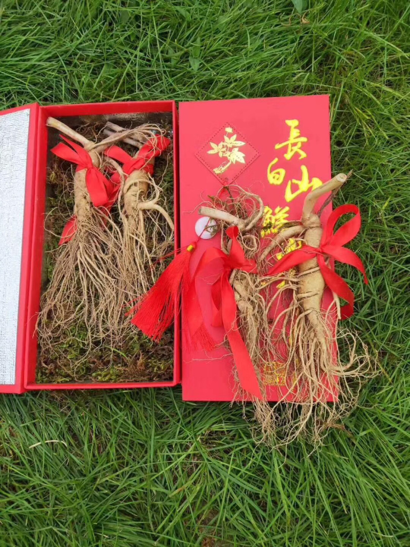 长白山带土鲜人参二两半～四两可配礼盒🎁