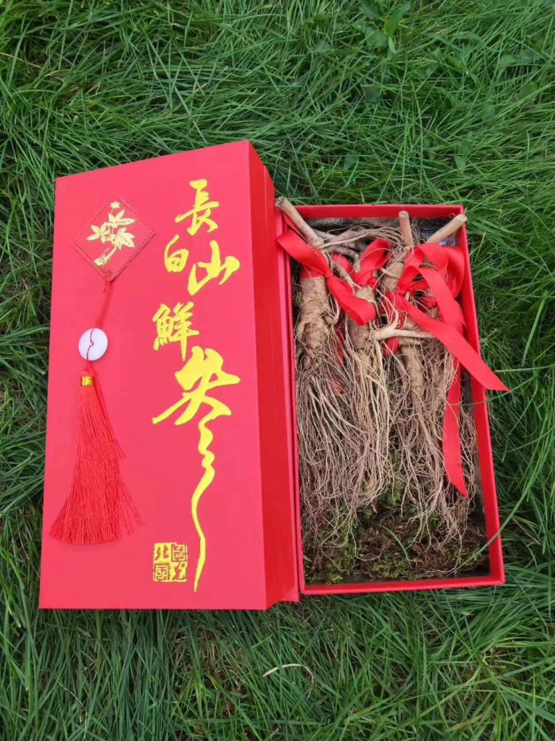 长白山带土鲜人参二两半～四两可配礼盒🎁