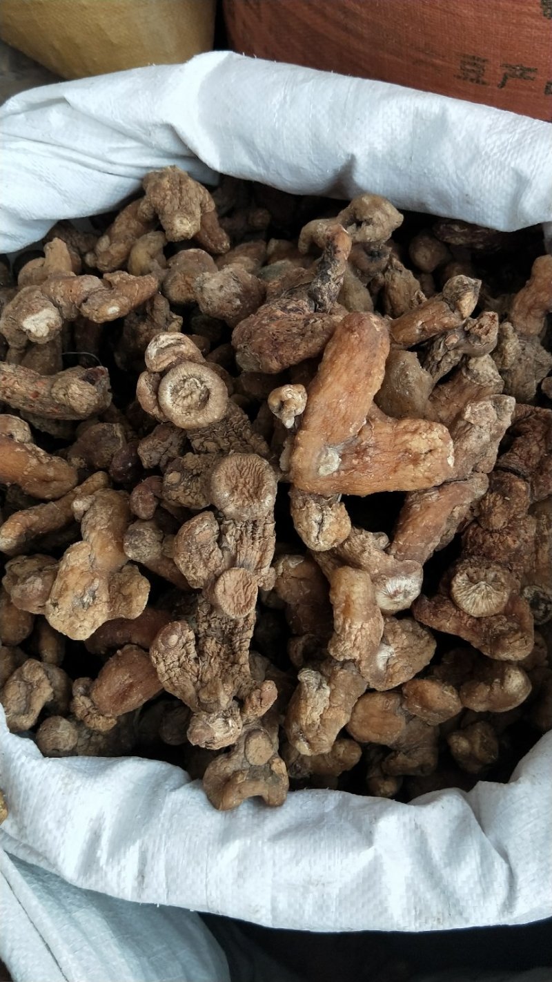 黄精甜大个子可以煲汤，泡茶渴