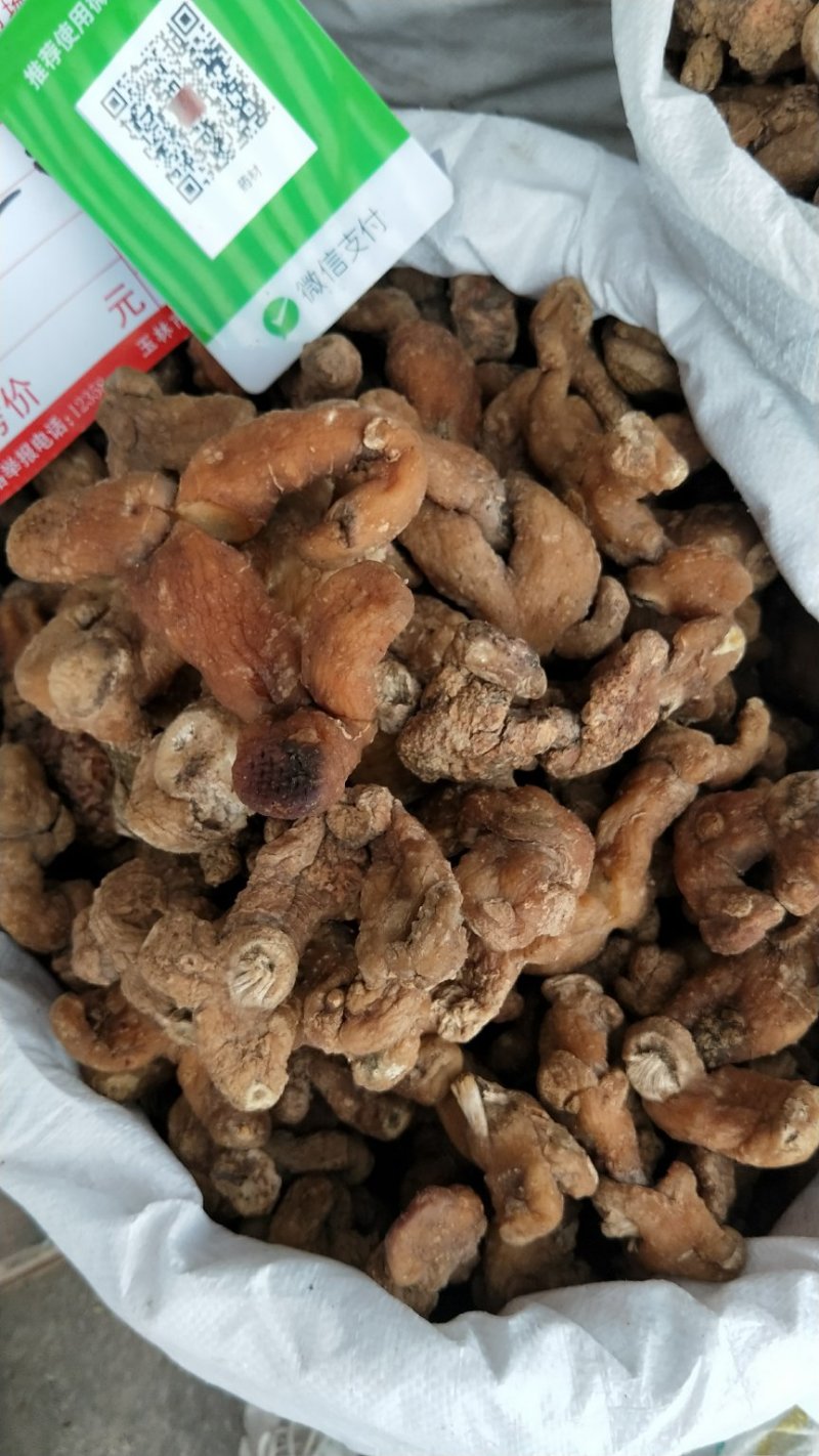 黄精甜大个子可以煲汤，泡茶渴