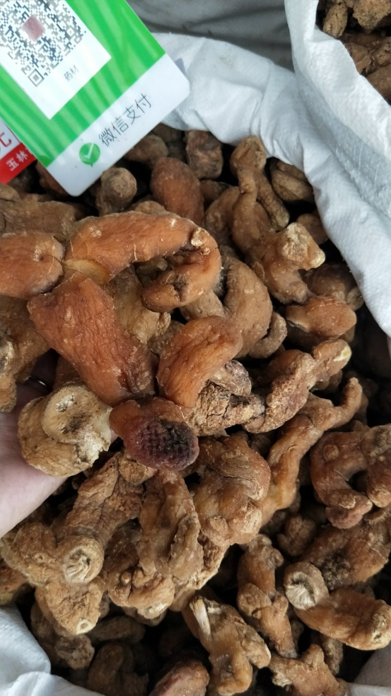 黄精甜大个子可以煲汤，泡茶渴