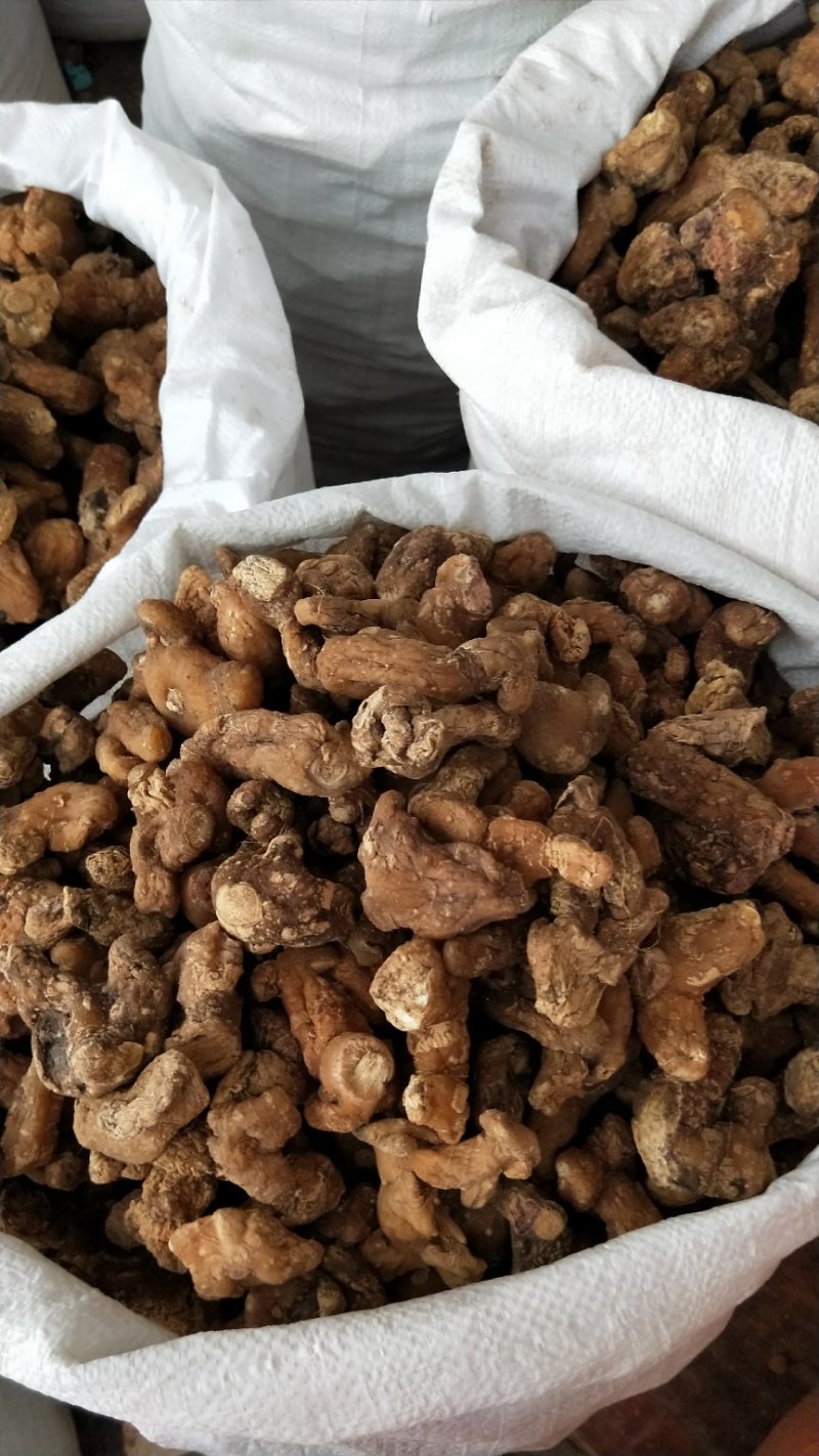 黄精甜大个子可以煲汤，泡茶渴