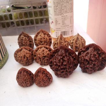 核桃，及玩物核桃