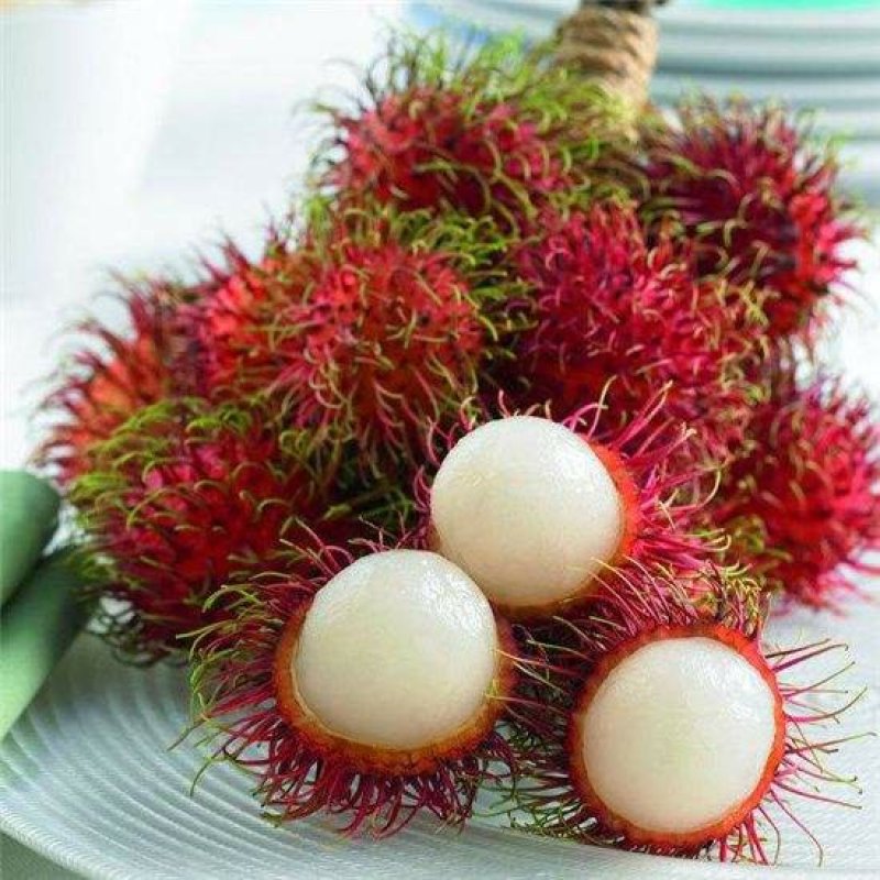 供应越南红毛丹