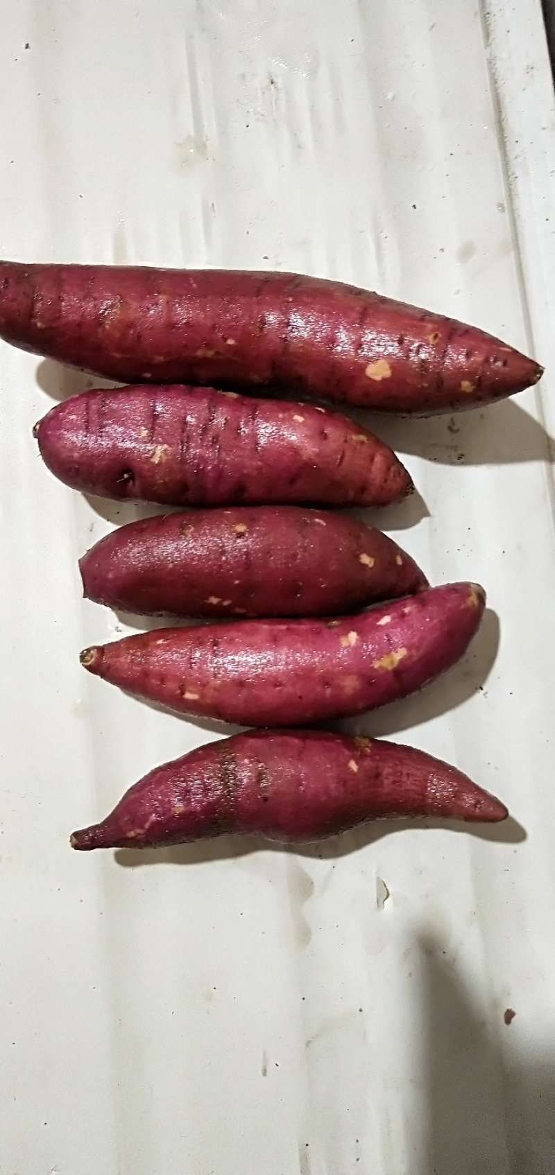 红薯，蜜薯
