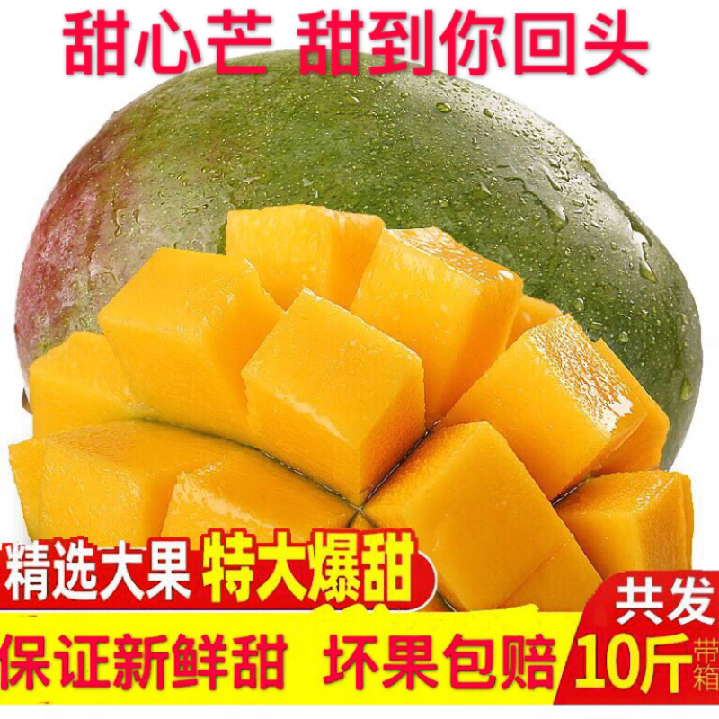 四川攀枝花凯特芒果新鲜大芒果青皮芒果新鲜芒果一件代发