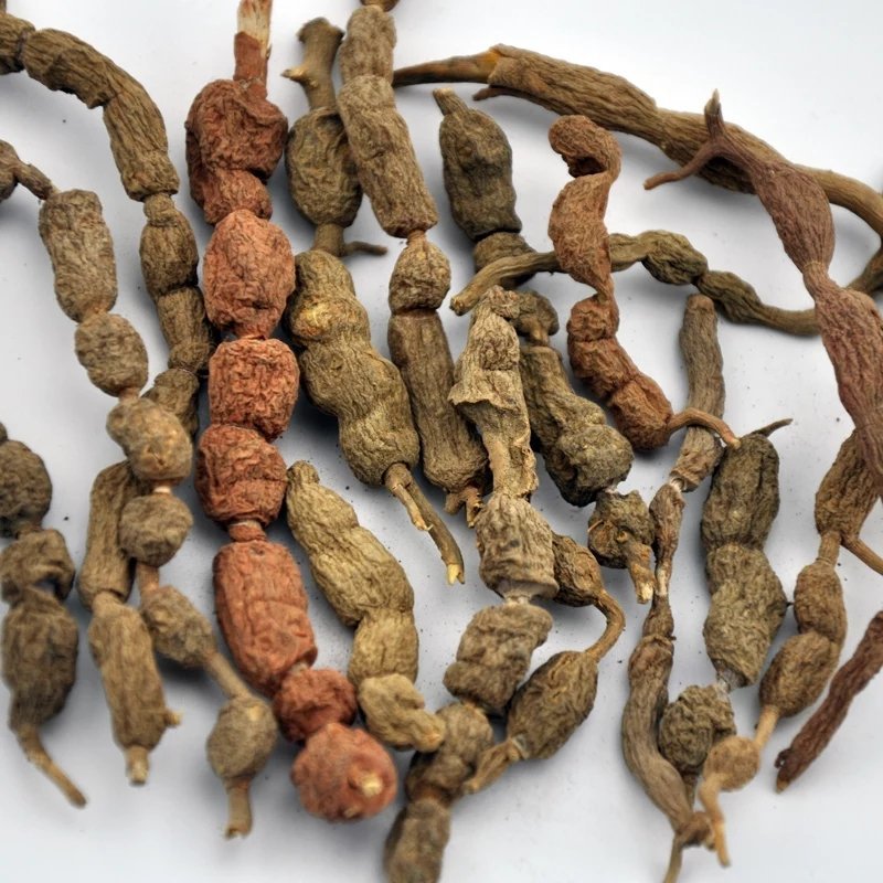 短刺虎刺,产地浙江，质优价实，品质保证，药典标准道地良药