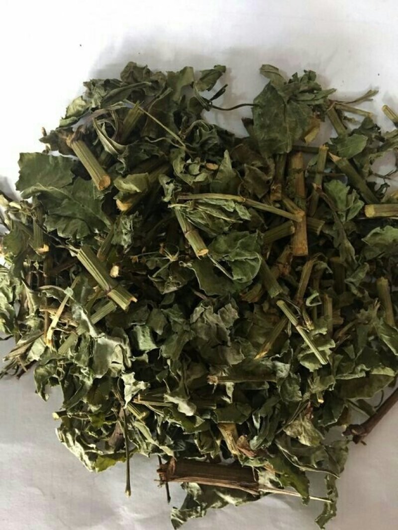 白花丹产地直供支持线上交易可搭配多品种采购大货联系