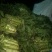 红尖叶莴苣大量上市中